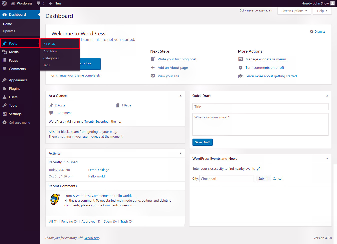 Wordpress preview posts