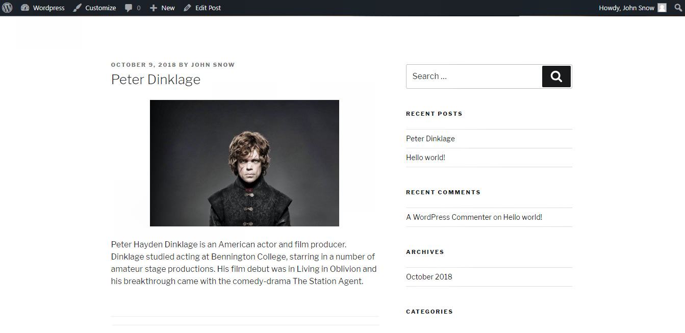Wordpress preview post