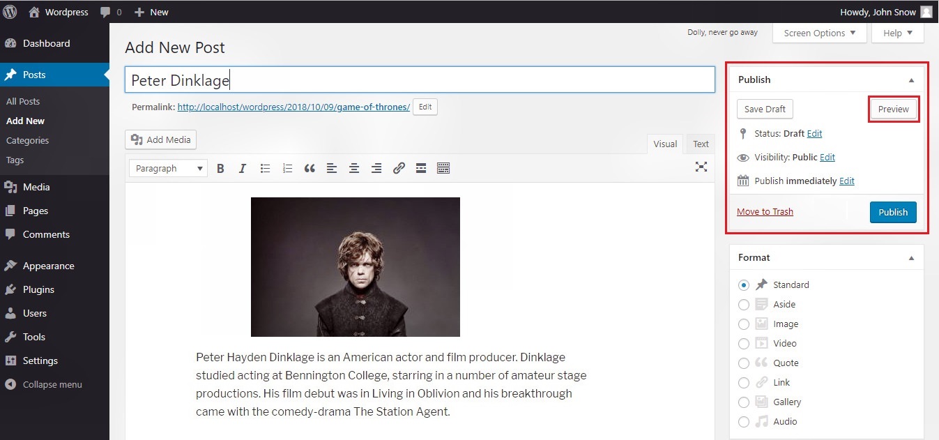 Wordpress preview post