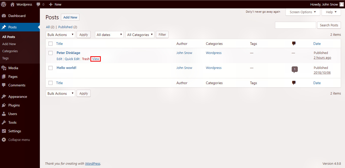 Wordpress preview post